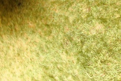 20220502_115203220_iOS