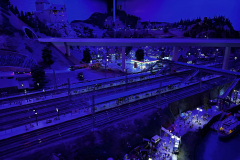 20230620_113437907_iOS