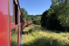20220713_083604618_iOS