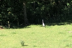 20220713_084146498_iOS