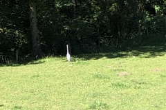 20220713_084147164_iOS