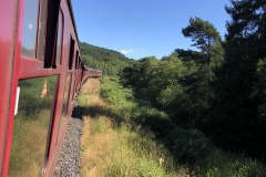 20220713_085104071_iOS