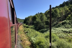 20220713_085114869_iOS