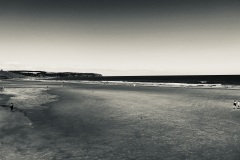 20220713_105811421_iOS